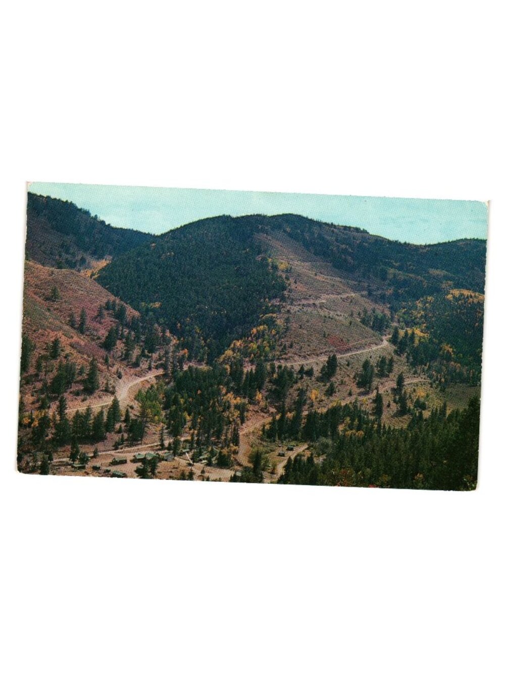 Beautiful Tall Pine Camp Postcard Red River New Mexico Carson National Forest